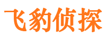 石门侦探公司